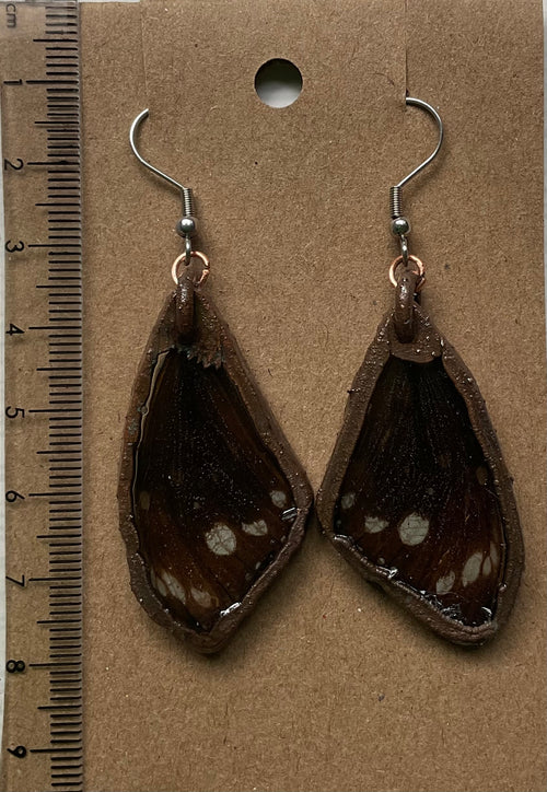 Butterfly wing earrings