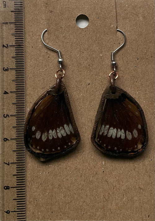 Butterfly wing earrings