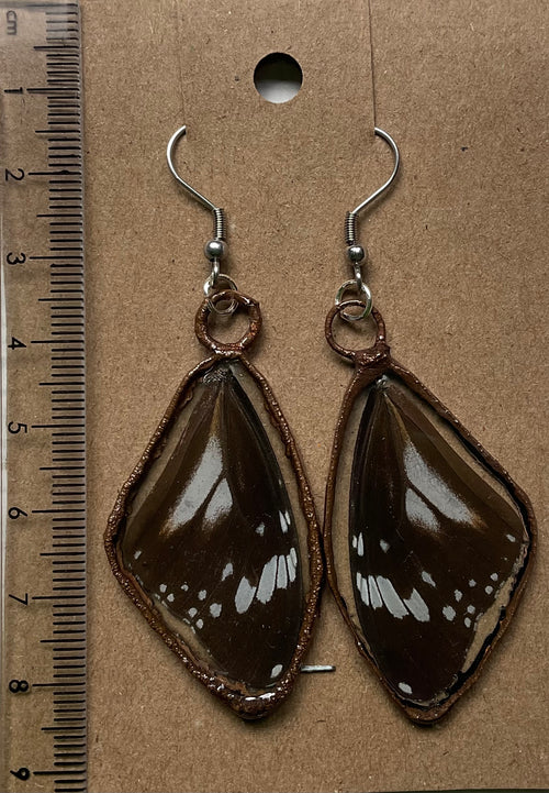 Butterfly wing earrings